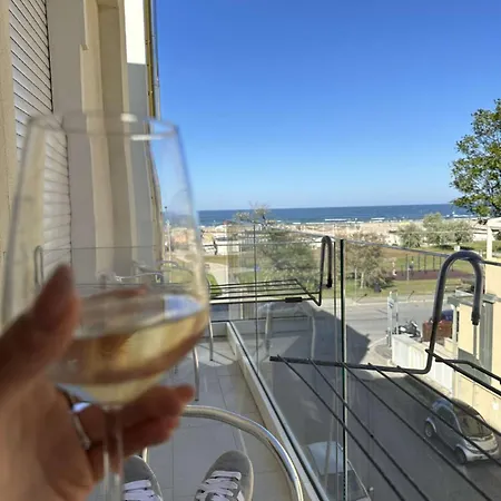 酒店 Vienna Rivazzurra 里米尼