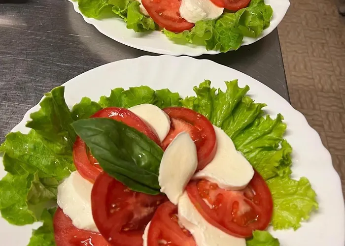 酒店 Vienna Rivazzurra